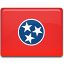 Drapeau Tennessee