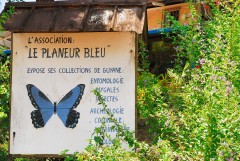 Insect Collection Planeur Bleu Association