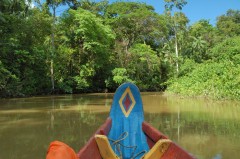 Excursion Pirogue Crique Gabrielle Roura