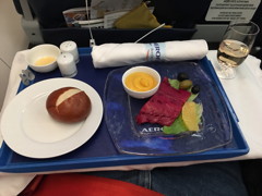 Aeroflot B737 Business Class SVO YKS Entré Trout January 2019