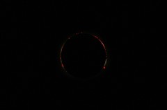 Prominences Eclipse 2001